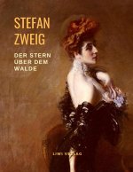 Der Stern über dem Walde