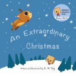 Extraordinary Christmas
