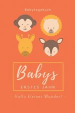 Babytagebuch Babys Erstes Jahr Hallo Kleines Wunder: A5 52 Wochen Kalender als Geschenk zur Geburt - Geschenkidee für werdene Mütter zur Schwangerscha