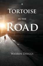 Tortoise in the Road