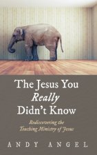 Jesus You Really Didn't Know