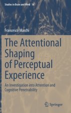 Attentional Shaping of Perceptual Experience