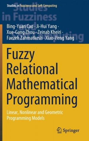 Fuzzy Relational Mathematical Programming
