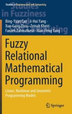Fuzzy Relational Mathematical Programming