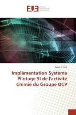 Implémentation Syst?me Pilotage SI de l'activité Chimie du Groupe OCP