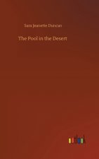 Pool in the Desert