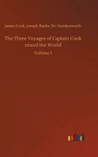 Three Voyages of Captain Cook round the World