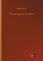 Adventures of a Bear