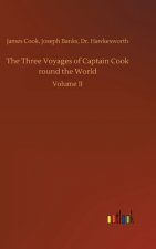 Three Voyages of Captain Cook round the World