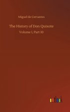 History of Don Quixote