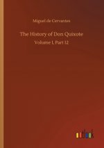 History of Don Quixote