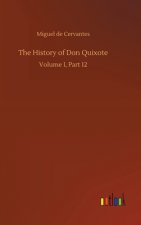 History of Don Quixote