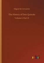 History of Don Quixote
