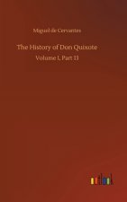 History of Don Quixote