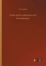 Trials and Confessions of a Housekeeper