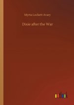 Dixie after the War