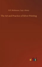 Art and Practice of Silver Printing