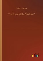 Cruise of the 