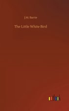 Little White Bird