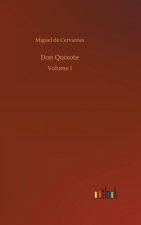 Don Quixote