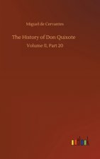 History of Don Quixote