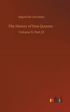 History of Don Quixote