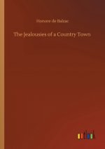 Jealousies of a Country Town