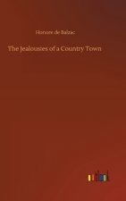 Jealousies of a Country Town