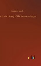 Social History of The American Negro