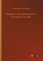 Rambles in the Mammoth Cave, during the Year 1844