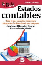 GuiaBurros Estados contables
