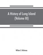 history of Long Island