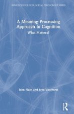 Meaning Processing Approach to Cognition