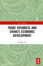 Trade Openness and China's Economic Development