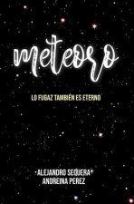 Meteoro: Lo fugaz también es eterno