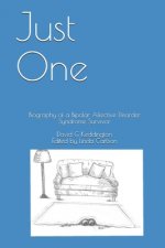 Just One: Biography of a Bipolar Affective Disorder Syndrome Survivor
