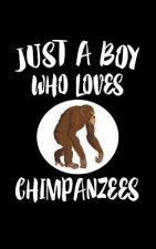Just A Boy Who Loves Chimpanzees: Animal Nature Collection