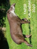 Tapir Calendar 2020