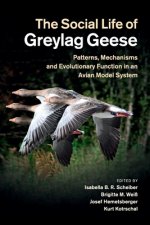 Social Life of Greylag Geese