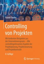 Controlling Von Projekten