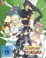 Senran Kagura - Gesamtausgabe - Episode 01-12 (2 DVDs) - Steelcase Edition