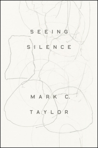 Seeing Silence