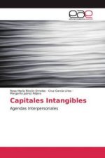 Capitales Intangibles