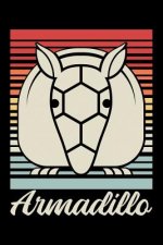 Armadillo: 6x9 120 pages quad ruled Your personal Diary for an Awesome Summer