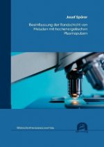 Beeinflussung der Randschicht von Metallen mit hochenergetischen Plasmapulsen