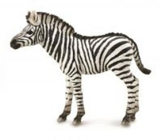 Zebra źrebię