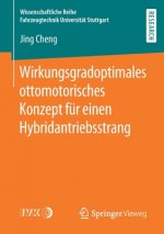 Wirkungsgradoptimales Ottomotorisches Konzept Fur Einen Hybridantriebsstrang