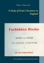 Study of Erotic Literature in England