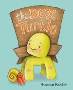 Box Turtle