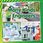 Many Kinds of Engineers